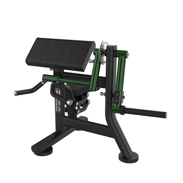 Biceps & Triceps Extension PLATE LOADED