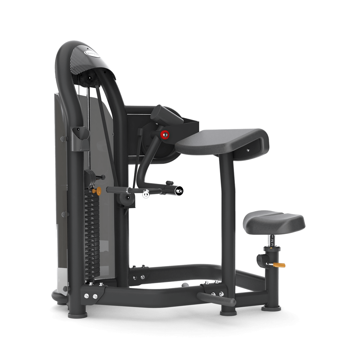 biceps machine matrix G3 aura