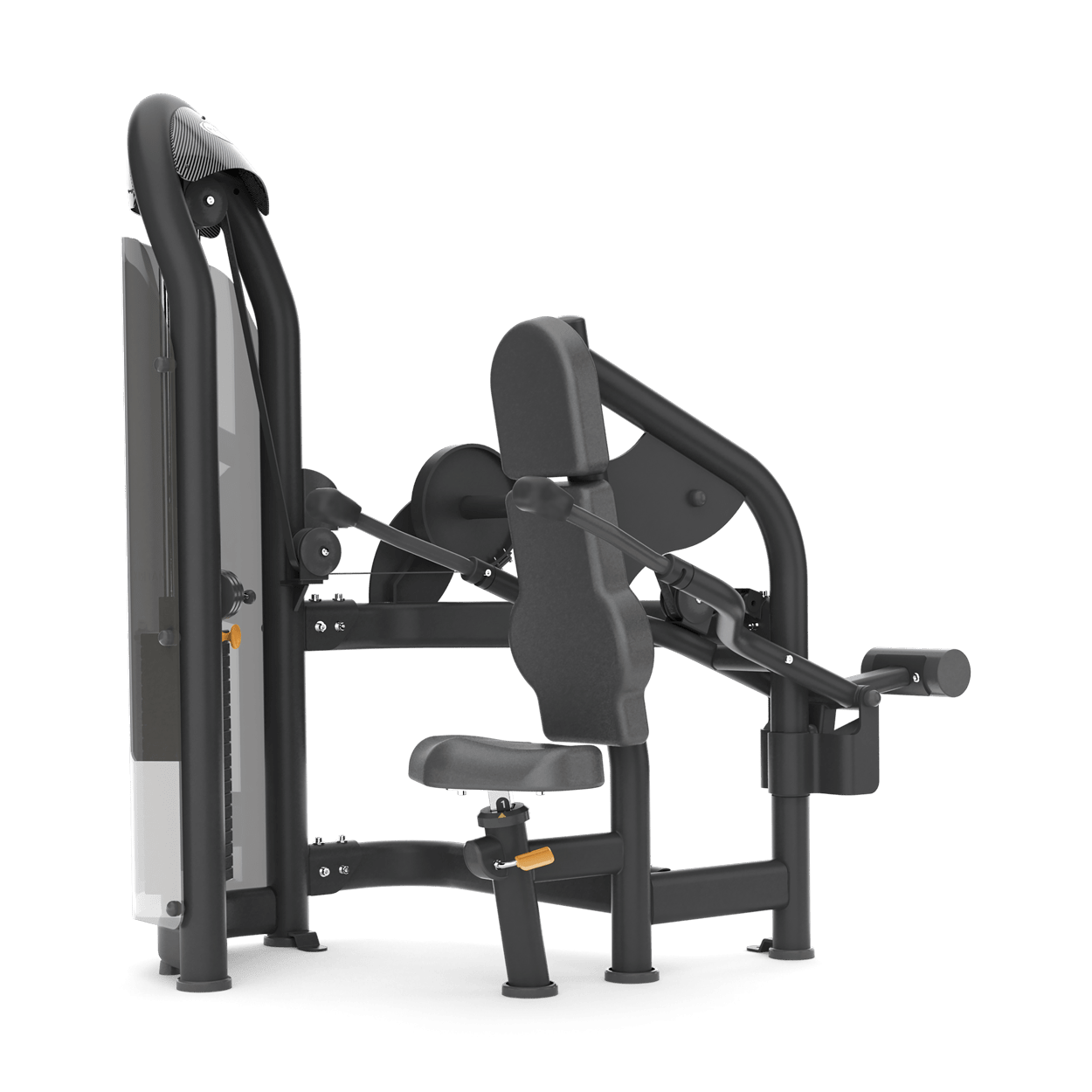 seated dip matrix G3 aura