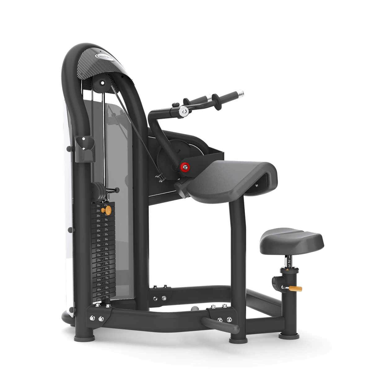 triceps machine matrix G3 aura