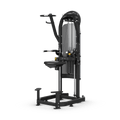 dip/chin matrix G3 aura