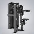 Lateral Raise