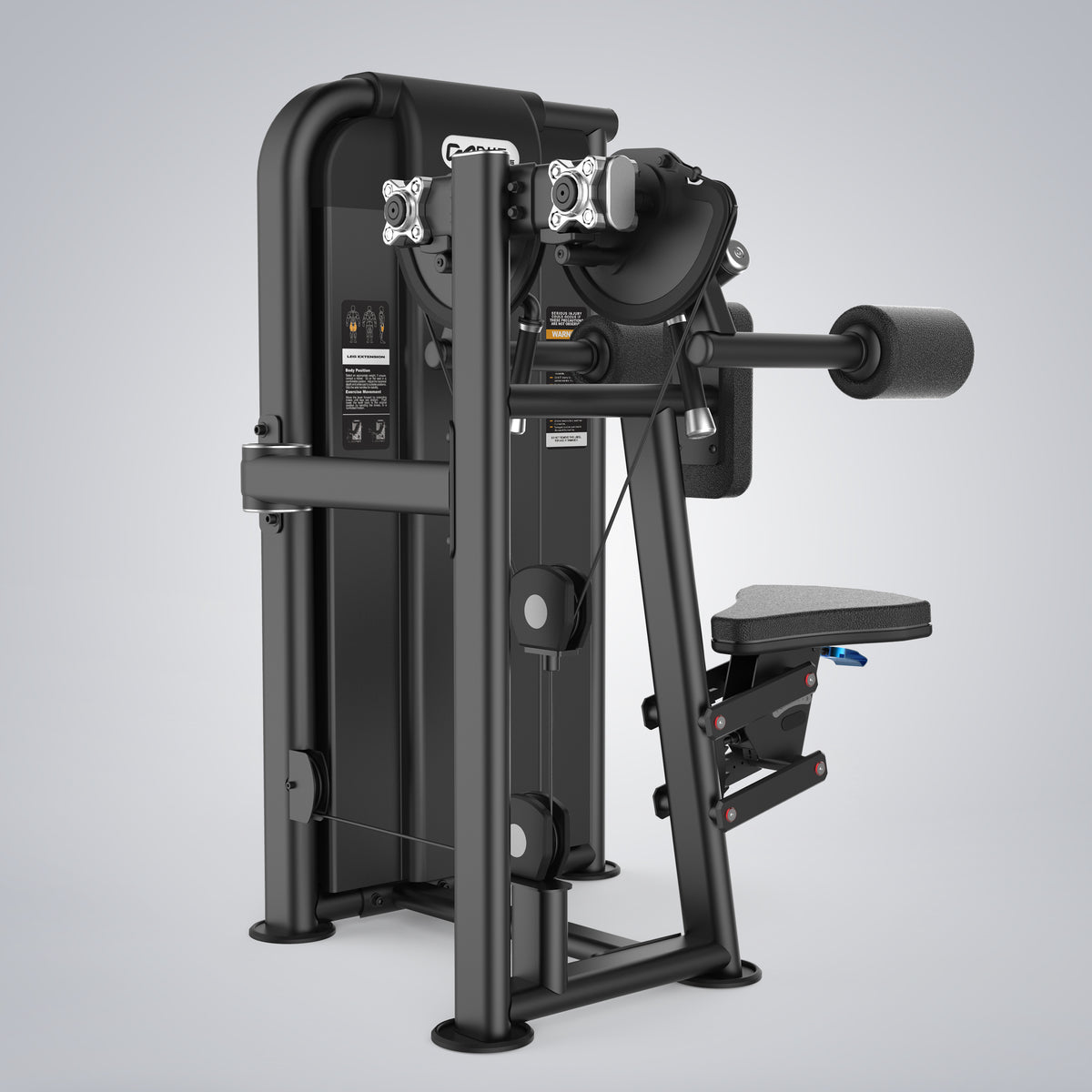 Lateral Raise